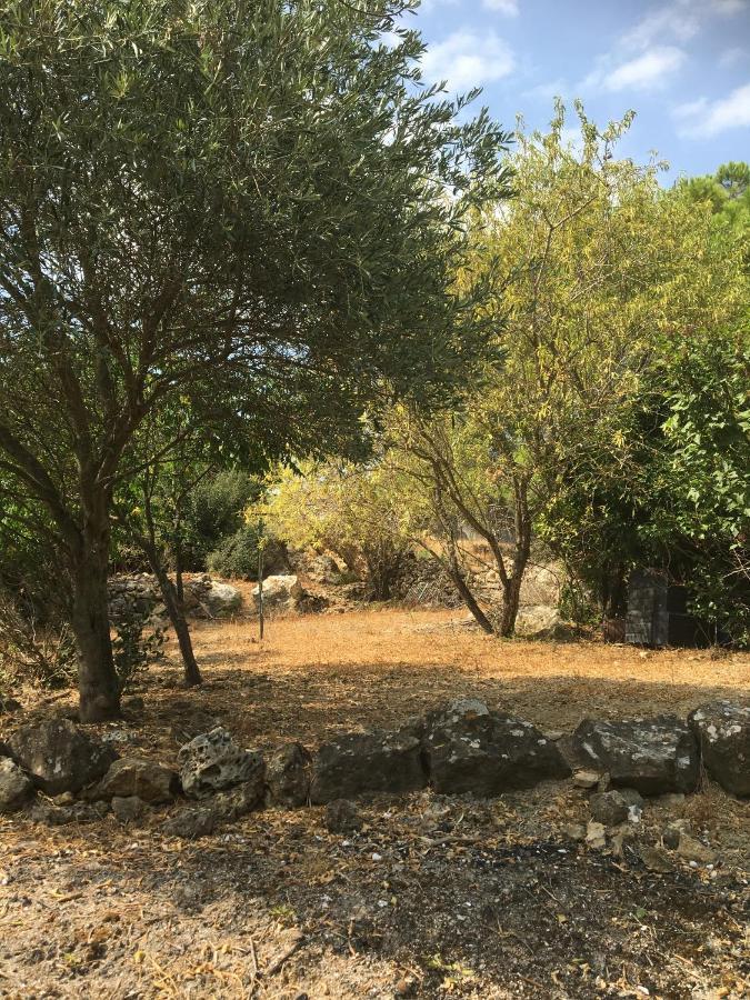 Bed and Breakfast Chez Tatie Menie Fraisse-des-Corbieres Екстер'єр фото