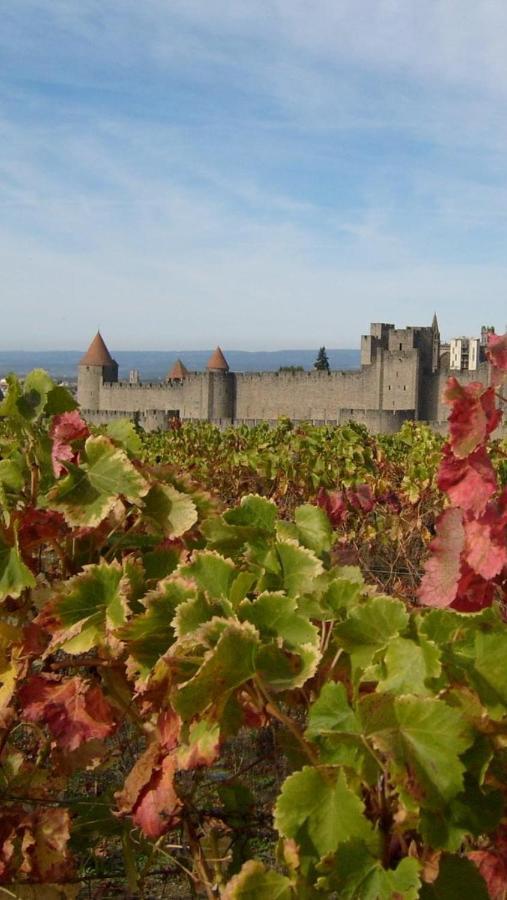 Bed and Breakfast Chez Tatie Menie Fraisse-des-Corbieres Екстер'єр фото